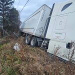 Side view of a white tractor-trailer in a grassy ditch beside trees.
